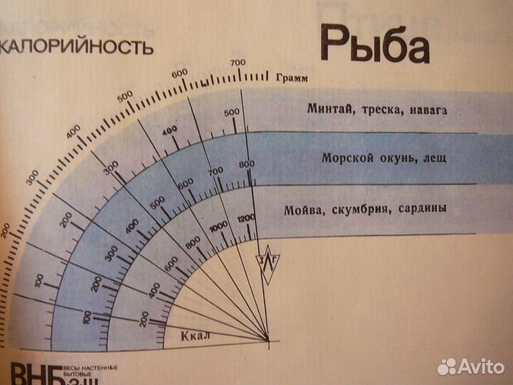 Весы настенные бытовые