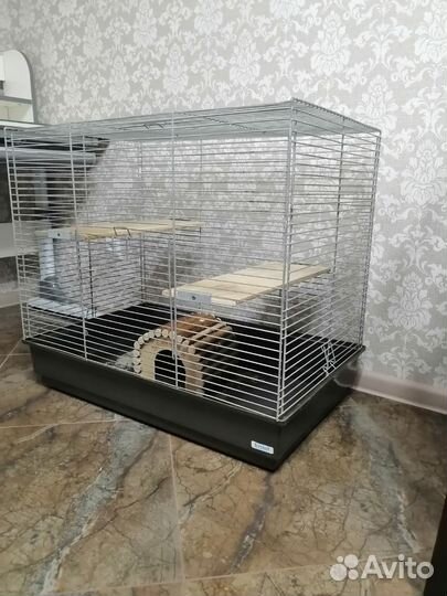 Клетка для шиншиллы бу