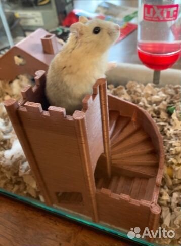 Дом для хомяка