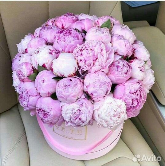 51 Роза, 101 Роза, 201 Роза, 501 Роза