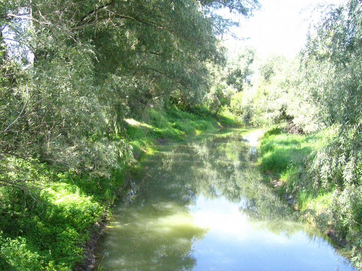 Дача 49,7 м² на участке 6 сот.