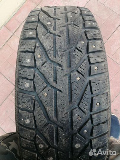 Tigar Ice 215/60 R17 100