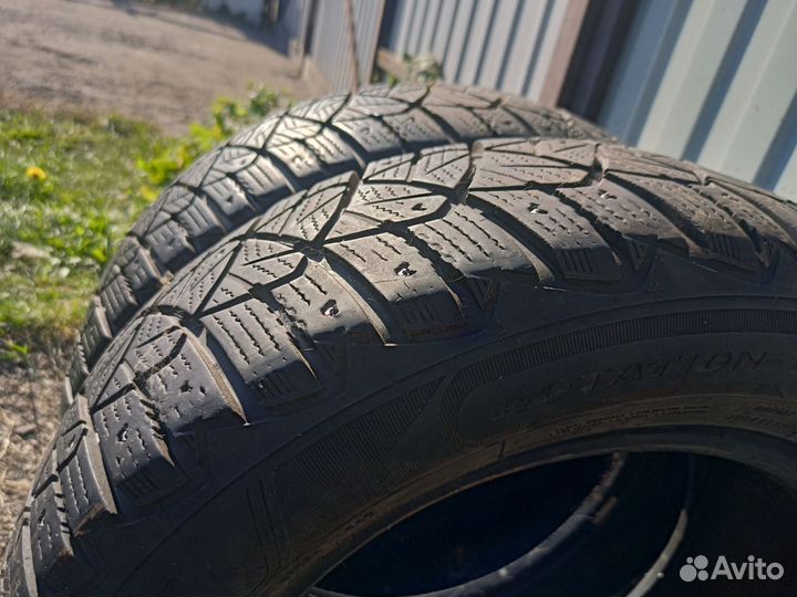 Dunlop Ice Touch 195/65 R15 95T