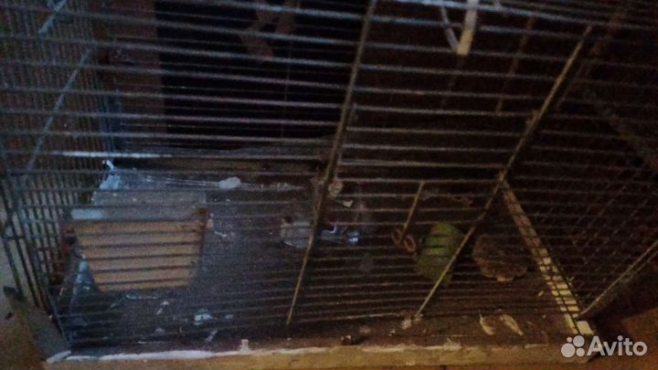 Клетка для попугая