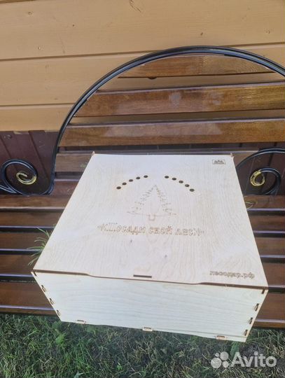 Сеянцы ели европейской окс