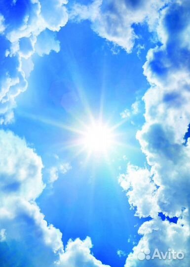 Натяжные потолки любой сложности. От завода произв