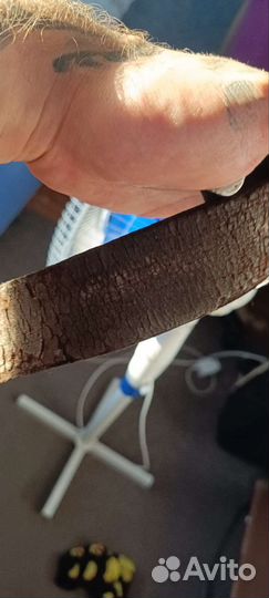 Пряжка немецкая с ремнём