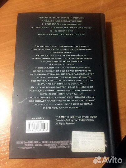 Бегущий в лабиринте, Джеймс Дэшнер