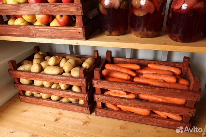 Пластиковый погреб