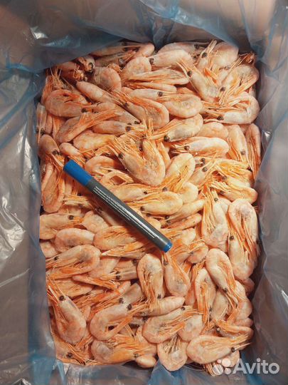 Креветка 80+