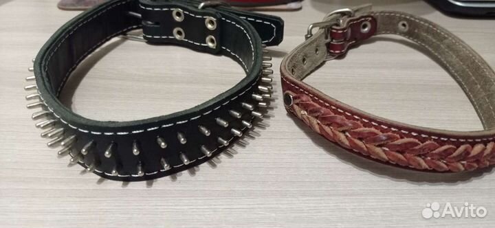 Собачьи ошейники