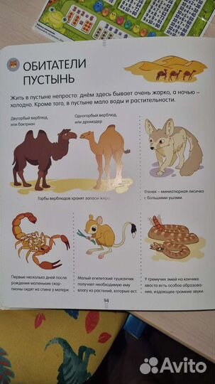 Энциклопедия для детей