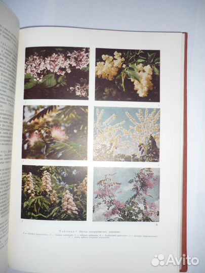 Стойчeв Пaркoвoe и ландшaфтнoe искусcтво