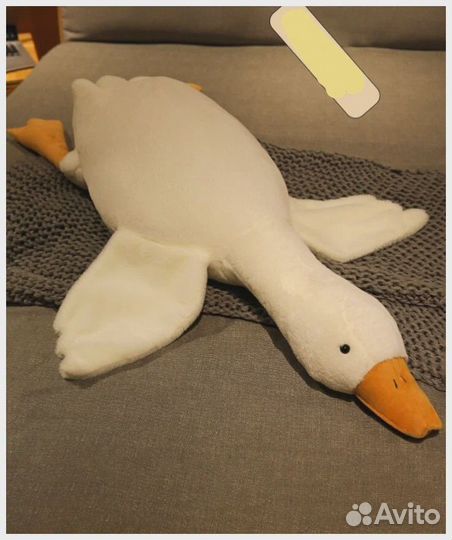 Гусь лапчатый, Эрик