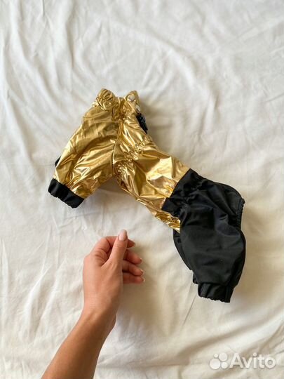 Одежда для собак