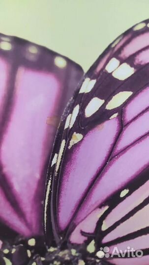 Ширма для дома, офиса и т. д