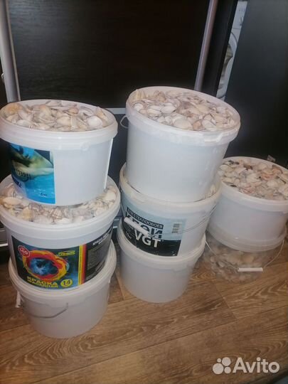 Черноморские ракушки