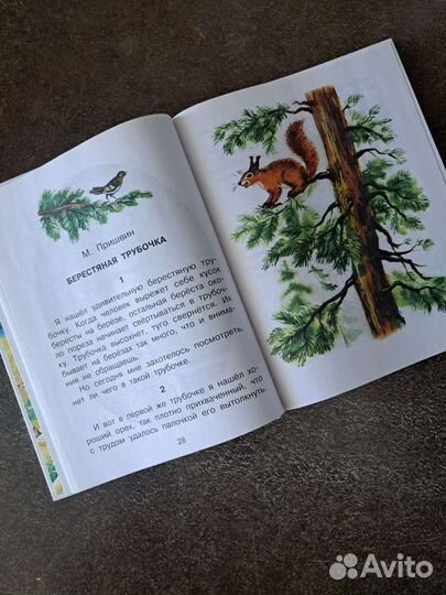 Родничок 1 класс