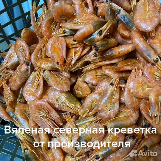 Вяленая северная креветка