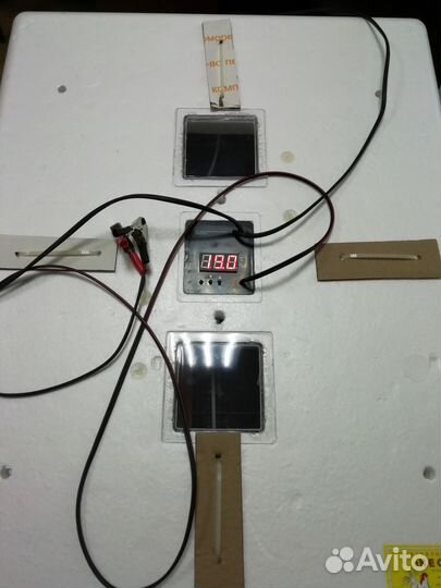 Инкубатор Несушка