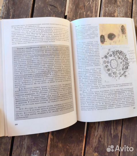 Учебник по гистологии