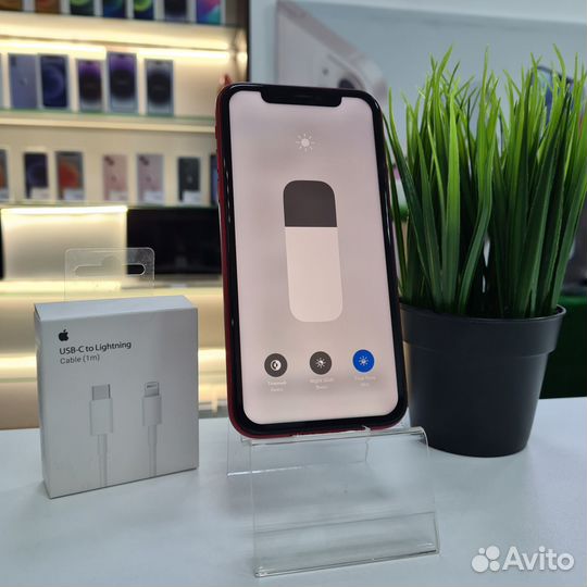 iPhone Xr, 128 ГБ