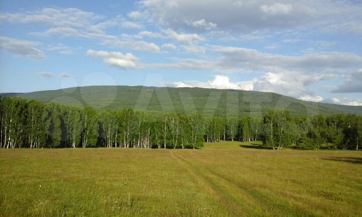 Участок 15,5 сот. (ИЖС)