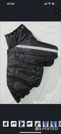 Комбенизон куртка на крупную собаку