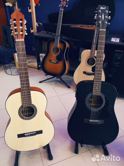 Гитары Cort