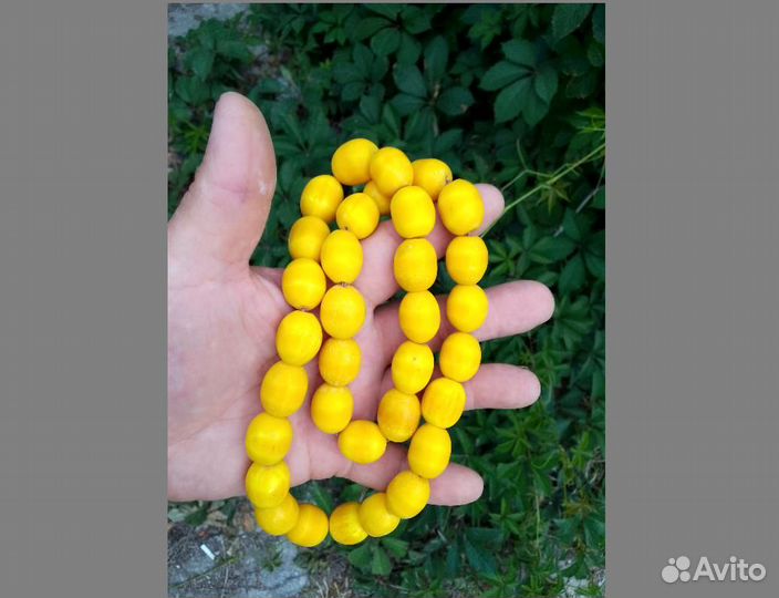Четки средние бакелит