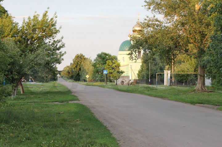 Дом 150 м² на участке 50 сот.