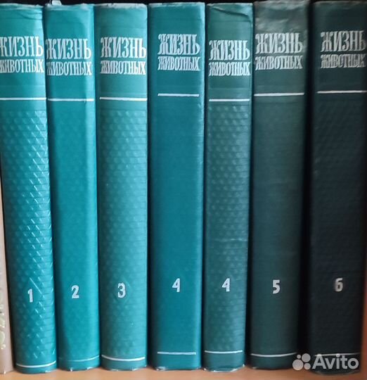 Энциклопедия жизнь животных