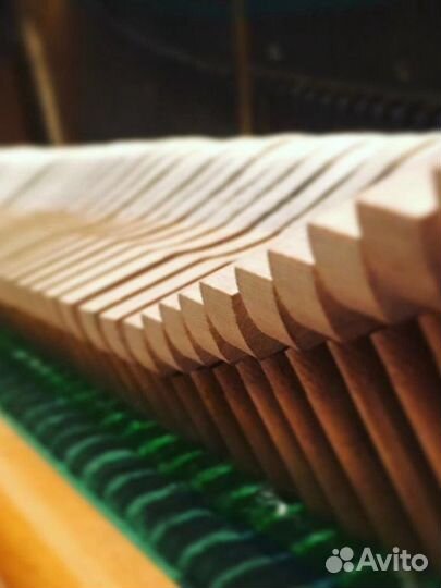 Настройка пианино и роялей