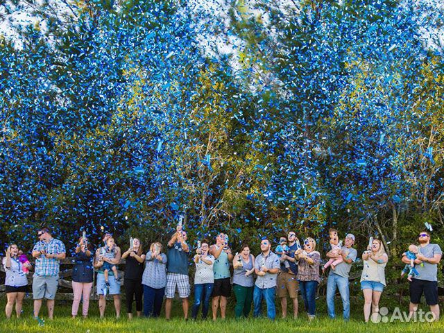 Хлопушка для гендер пати мальчик или девочка