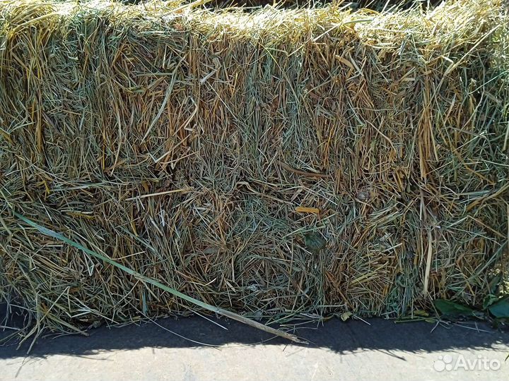 Сено в тюках