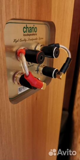 Перемычки для акустических терминалов Magnat