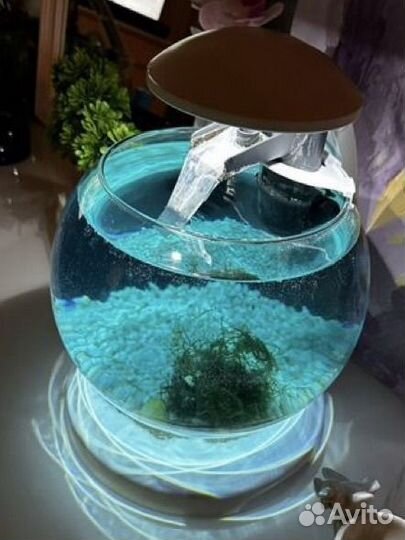 Аквариум Tetra