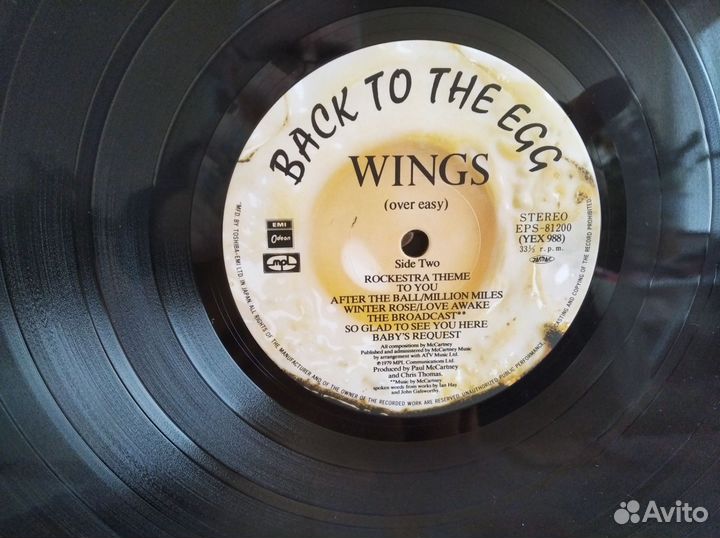Wings. paul mccartney
