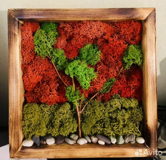 Картины из стабилизированного мха