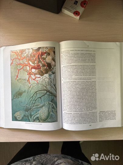 Книга Альфред Брем Жизнь Животных