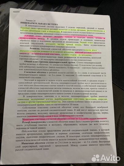 Лекции по гистологии (распечатанные)