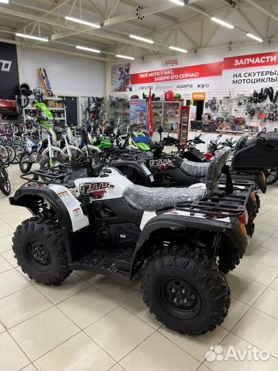 Baltmotors Striker 500 EFI