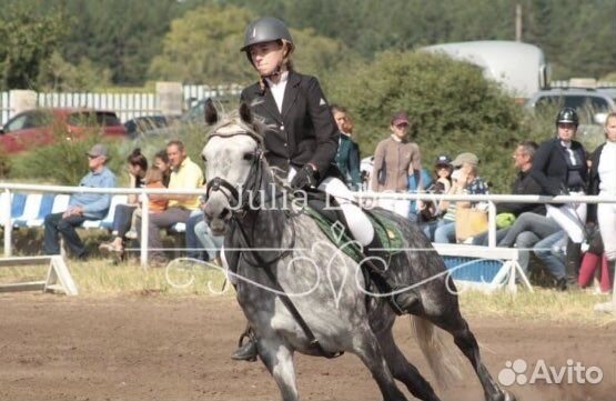 Редингот для конного спорта