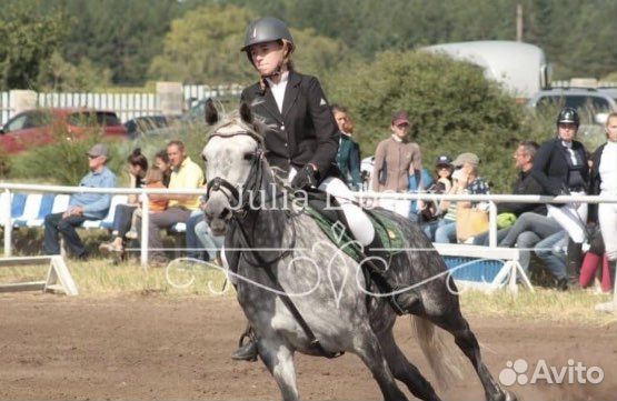 Редингот для конного спорта