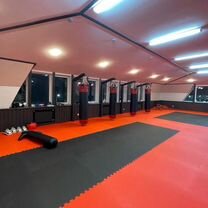 Будо-Маты, Москва