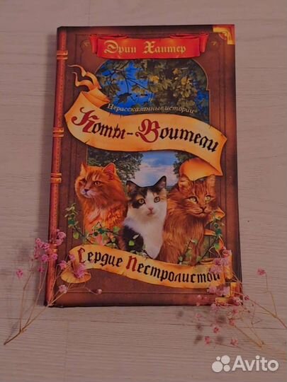 Книги коты воители
