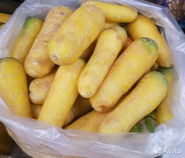 Морковь желтая