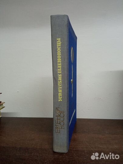 Е. Носов. Усвятские шлемоносцы