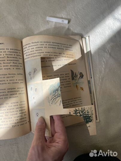 Природоведение 2 класс клепинина