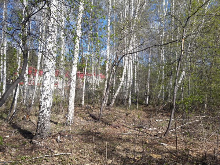 Участок 5 сот. (ИЖС)